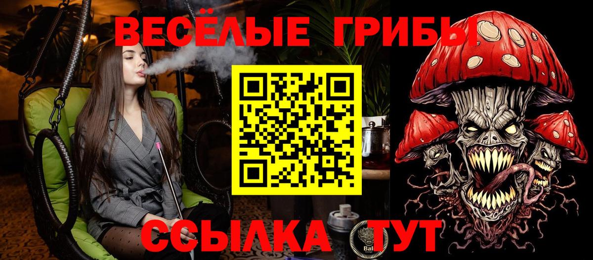 Ревда  Галлюциногенные грибы Psilocybe  наркошоп  Вход с VPN 